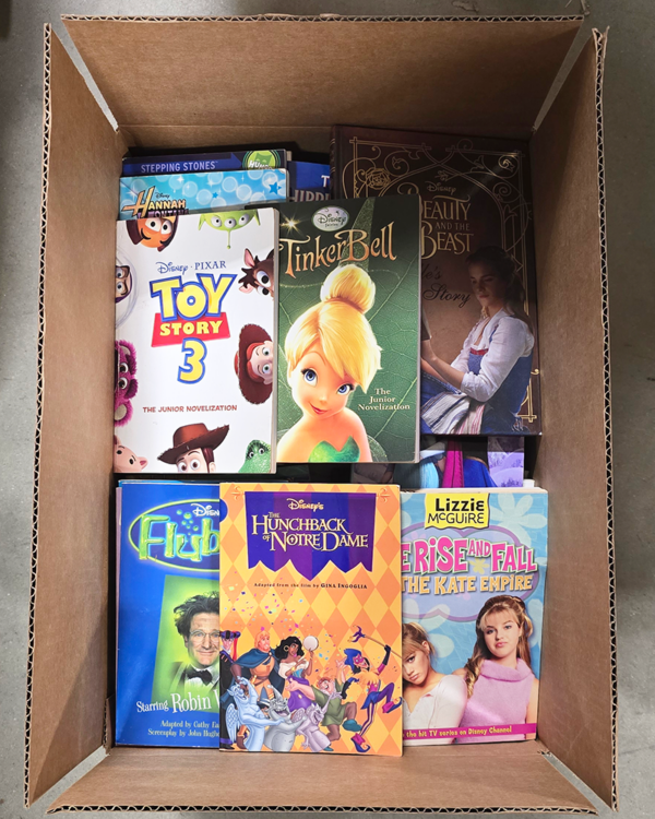 Boxed Children's Elementary Chapter Books