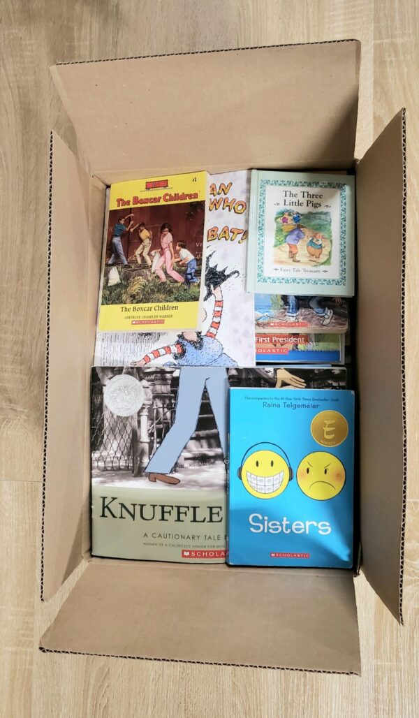 Half Sized Boxed Children's Books